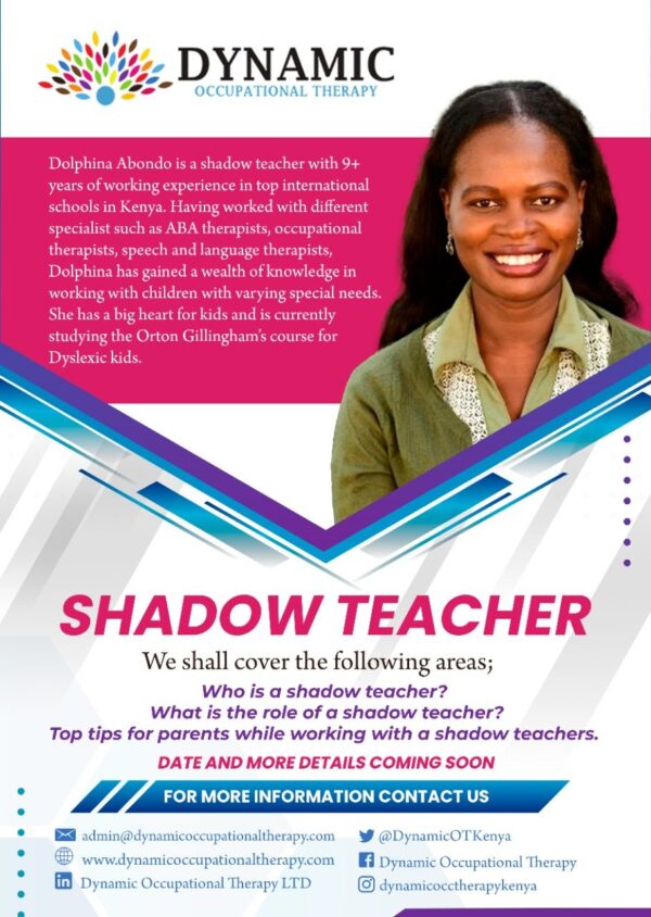 The Role of the Shadow Teacher in Kenya